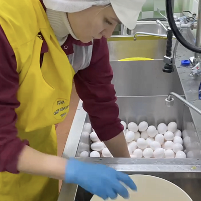 3000 яиц в день! Именно столько мы используем в нашем цехе для приготовления полуфабрикатов.